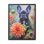 Puddles the Frenchie 2