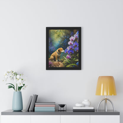Willy's Orchid Reverie (Featuring Nip the Kitten)