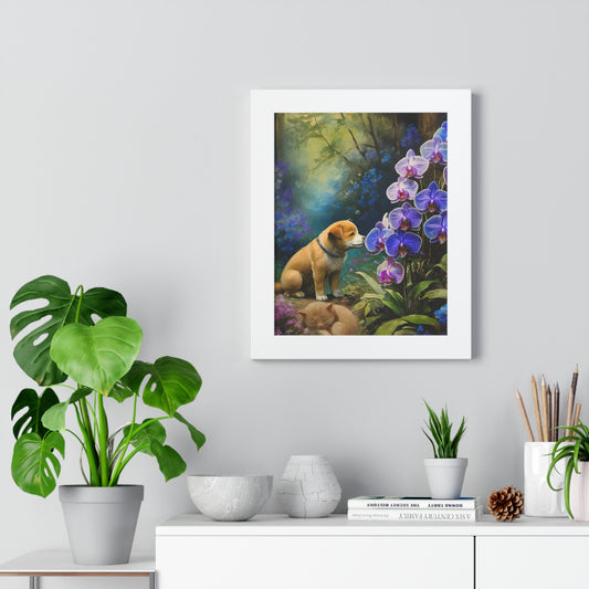 Willy's Orchid Reverie (Featuring Nip the Kitten)