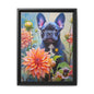 Puddles the Frenchie 2