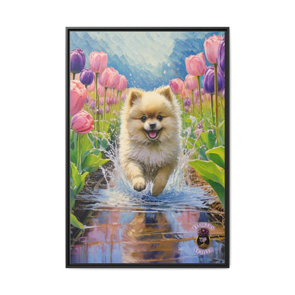 Journey the Pomeranian: A Heartwarming Tale of Joy and Play