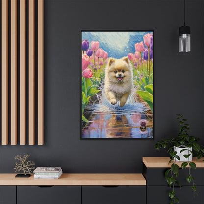 Journey the Pomeranian: A Heartwarming Tale of Joy and Play