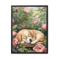 Heidi: A Delightful Dream in a Peony Paradise