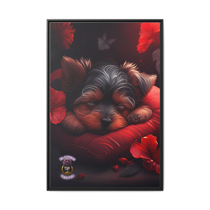 Noodle's Serene Haven 4