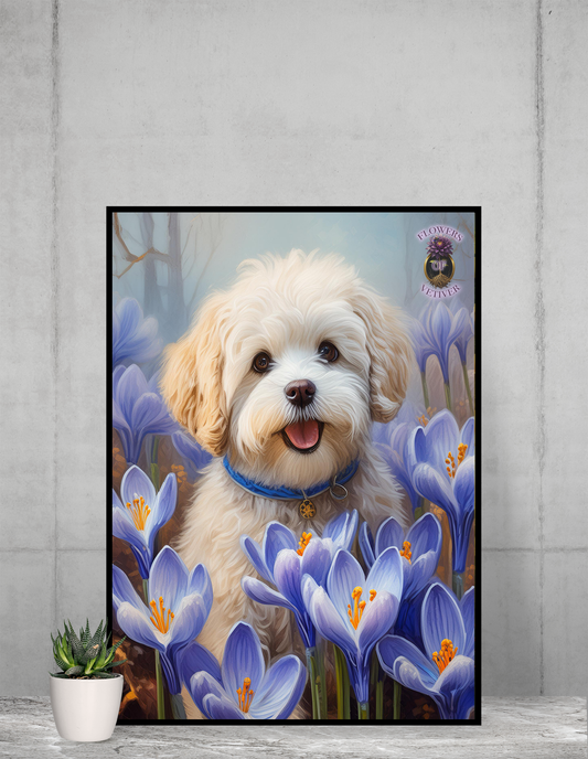 Twixy the Poodle: On a Quest for Life's Meaning 3